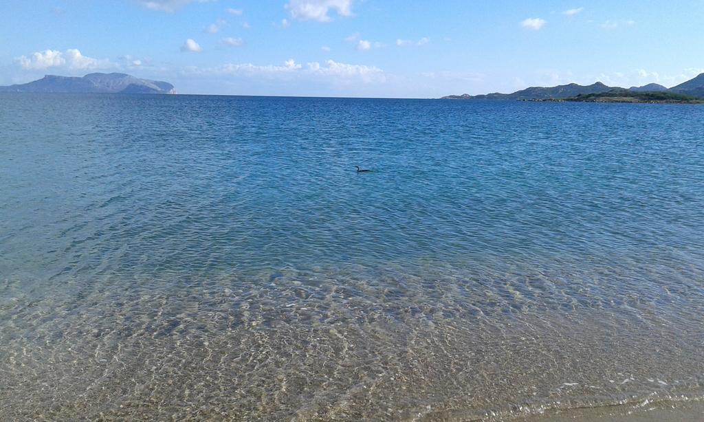 Appartamento Al Mare Vicino Olbia Murta Maria Exterior foto